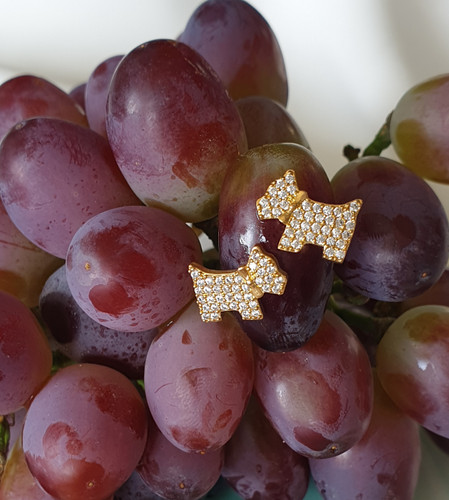 گوشواره برای بچه ها